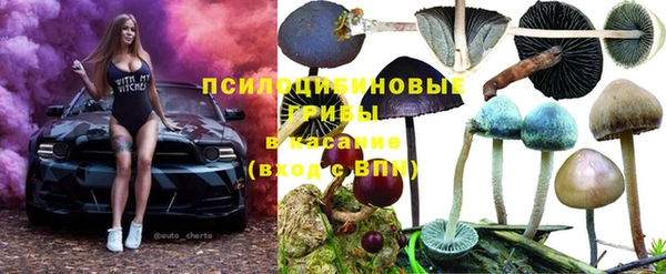 дурь Алексеевка