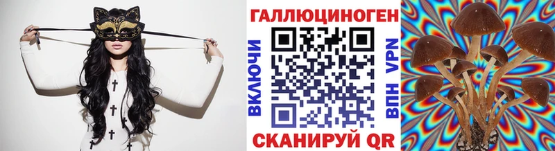 Псилоцибиновые грибы ЛСД  hydra зеркало  Зверево  купить наркотики цена 